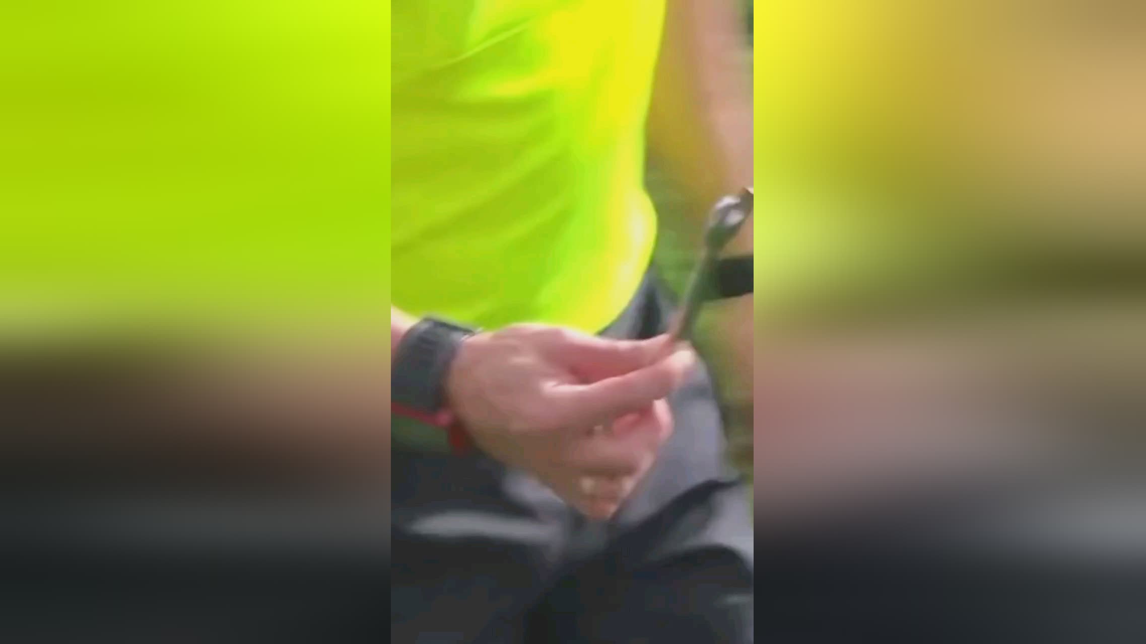 安排